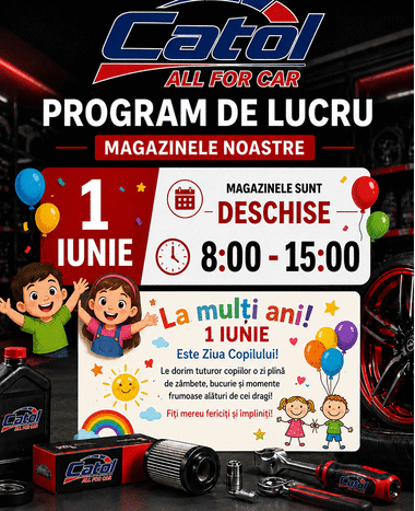 PROGRAMUL DE LUCRU DE ZIUA INTERNAȚIONALĂ A COPILULUI