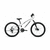 Bicicletă pentru adolescenți FORWARD RISE 24 2.0 disc (24 "7 viteze. Înălțime 11") 2020-2021, alb / negru 