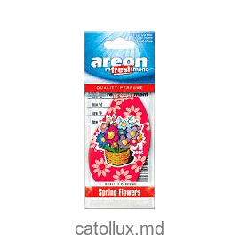 Ароматизатор Areon Dry (Spring Flowers) 