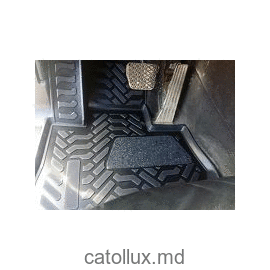 Covoras cauciuc Aileron  BMW X5 E53 (62403) 