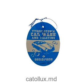 Aromatizator Areon Dry car wash (summer drim)/prep.p/u parfumare 