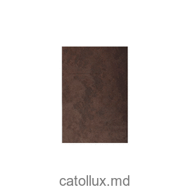 Placa izolare fonica pentru auto Troton 25*50см 