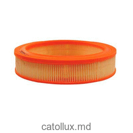 Filtru aer Filtron AR224 