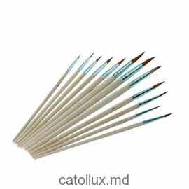 Set de perii Troton 12 buc 