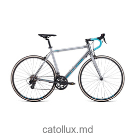 Bicicletă sport FORWARD IMPULSE 28 480 (28 "14 viteze 480 mm) 2019-2020, gri / turcoaz 