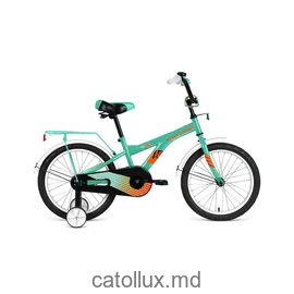 Велосипед детский FORWARD CROCKY 18 (18" 1 ск.) 2020-2021, бирюзовый/оранжевый 