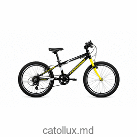 Велосипед подростковый FORWARD RISE 20 2.0 (20" 7 ск. Рост 10.5") 2020-2021, черный/желтый 