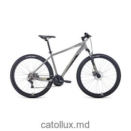 Горный велосипед FORWARD APACHE 29 2.2 disc (29" 21 ск. рост 19") 2020-2021, серый/бежевый 