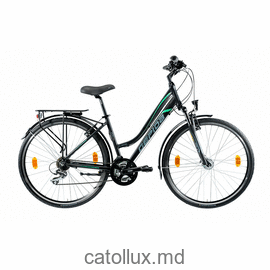 Bicicletă de oraș pentru femei ALBOIN 200 28" L-21S Marimea-48 negru-verde 