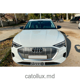 Automobil Audi  e-tron 2019 