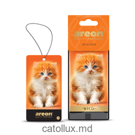 Odorizant Areon WILD BLUE EYES  