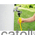 Set furtun pentru conectare Aparat de spalat cu presiune Karcher 1/2 10 m 