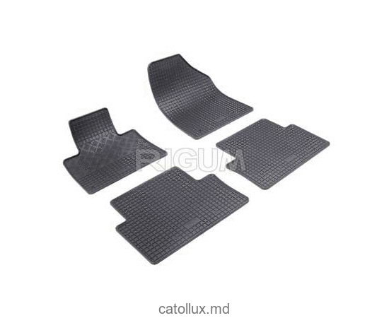 Covoras cauciuc  RIGUM Citroen C5  08 