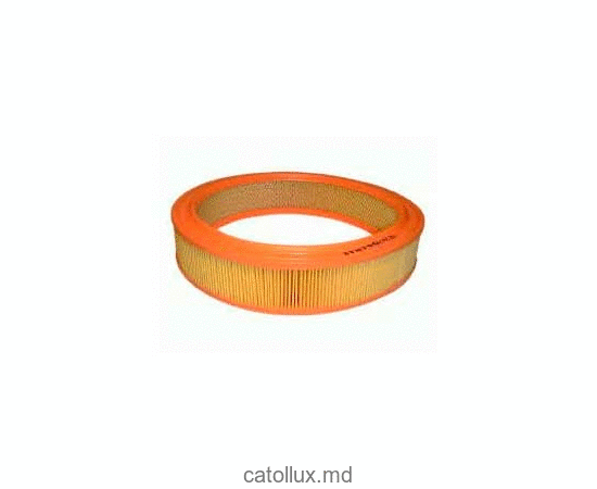 Filtru aer Filtron AR201 