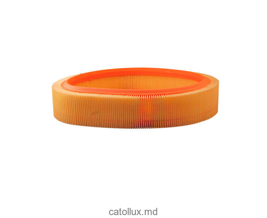 Filtru aer FUJI  FH 10208 (AR 276) (SB 275) 