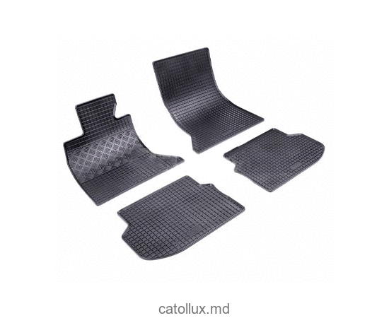 Covoras cauciuc RIGUM BMW  5 F10 2010 