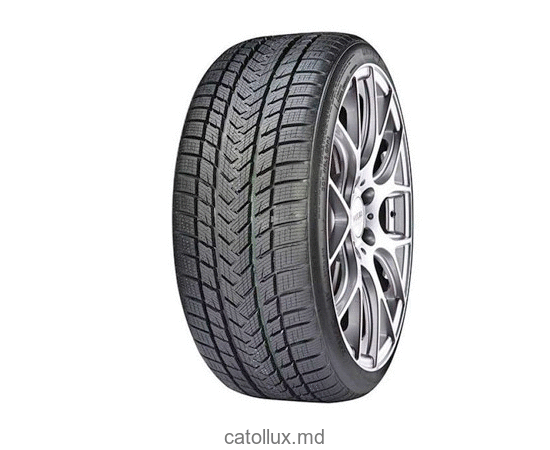 Шина GRIPMAX 265/30 R19 Status Pro Winter 93V XL 