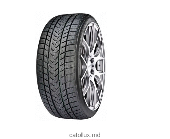 Шина GRIPMAX 285/35 R21 Status Pro Winter 105 