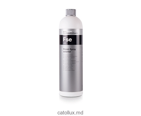 Finish Spray exterior 285001 spray pentru curatarea rapida a tuturor suprafetelor exterioare 1L 