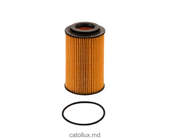 Filtru ulei  FUJI  FEO 12731 (OE 640/5) (SH 425) 