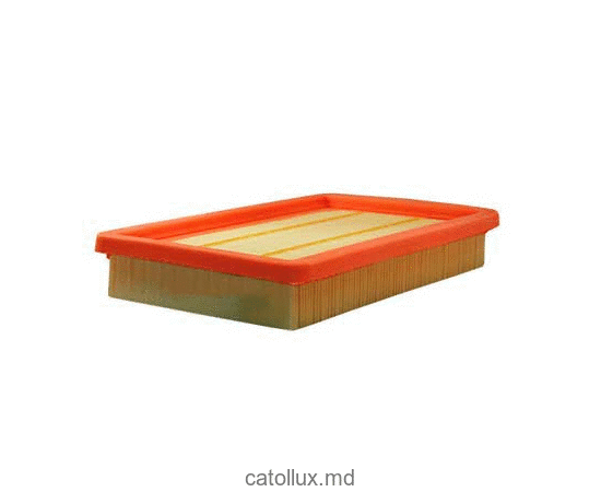 Filtru aer FUJI  FH 21720 (SB 923) (AP 113) 