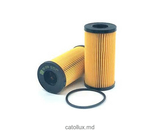 Фильтр масляный FEO 10118 (OE666/2) (SH 4053) 