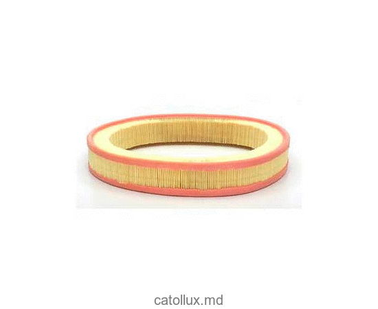 Filtru aer FUJI FH 12701/1 (AR036/1) 