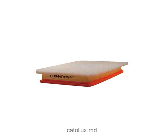 Воздушный фильтр Filtron AP051/5 
