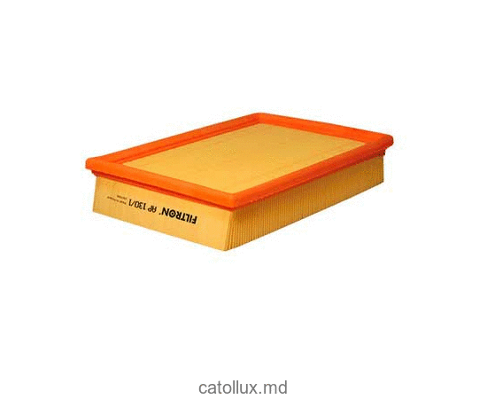 Filtru aer Filtron AP130/1 