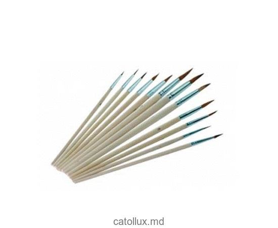 Set de perii Troton 12 buc 