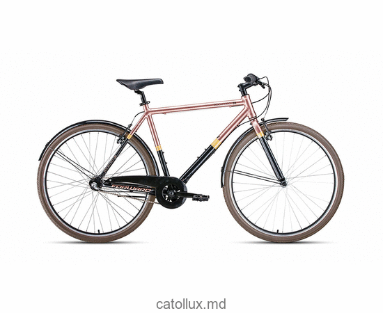 Bicicletă urbană FORWARD ROCKFORD 28 (28 "3 viteze. Înălțime 540 mm) 2019-2020, negru / maro 