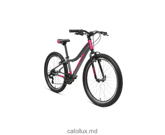Bicicletă urbană FORWARD JADE 24 1.0 (24 "7 viteze. Înălțime 12") 2020-2021, gri / roz  Bicicletă urbană FORWARD JADE 24 1.0 (24 "7 viteze. Înălțime 12") 2020-2021, gri / roz