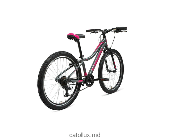 Bicicletă urbană FORWARD JADE 24 1.0 (24 "7 viteze. Înălțime 12") 2020-2021, gri / roz  Bicicletă urbană FORWARD JADE 24 1.0 (24 "7 viteze. Înălțime 12") 2020-2021, gri / roz