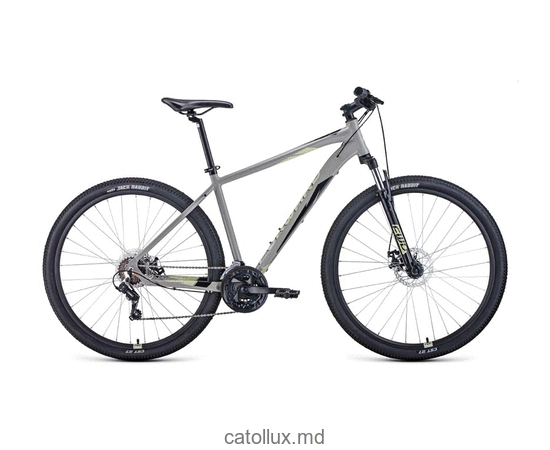 Горный велосипед FORWARD APACHE 29 2.2 disc (29" 21 ск. рост 19") 2020-2021, серый/бежевый 
