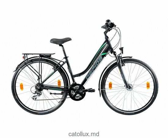 Bicicletă de oraș pentru femei ALBOIN 200 28" L-21S Marimea-48 negru-verde 