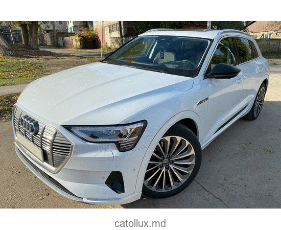 Automobil Audi  e-tron 2019 