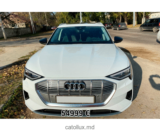 Automobil Audi  e-tron 2019 