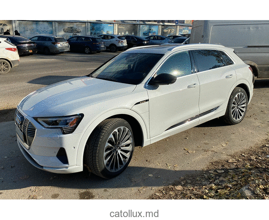 Automobil Audi  e-tron 2019 