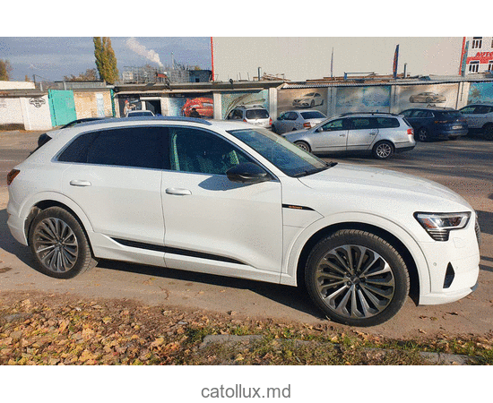 Automobil Audi  e-tron 2019 