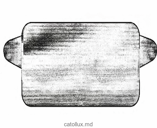 Parasolar și protector de zăpadâ LX-A116 145*95 