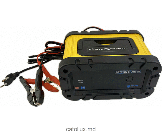Incarcator auto 20A/12V - 10A/24V-4-300Ah (NC-HC20L) 