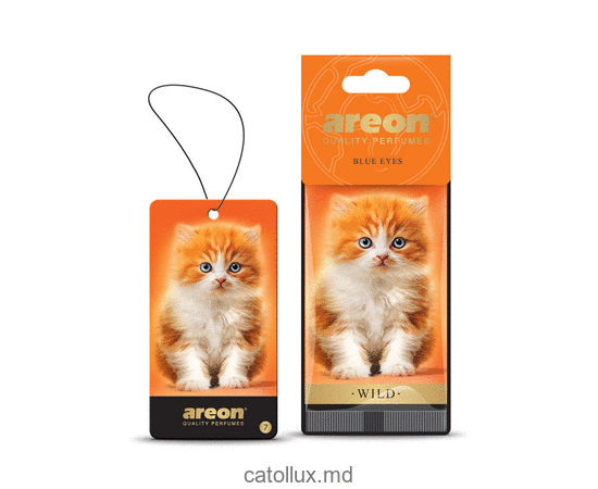 Ароматиз. Areon WILD BLUE EYES  
