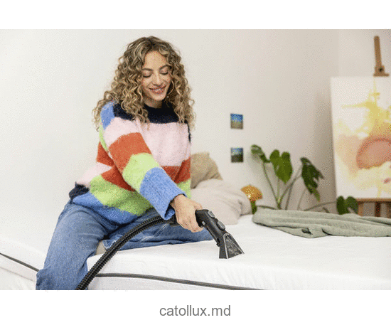 Aspirator cu spalare  Karcher SE 3 Compact Home 