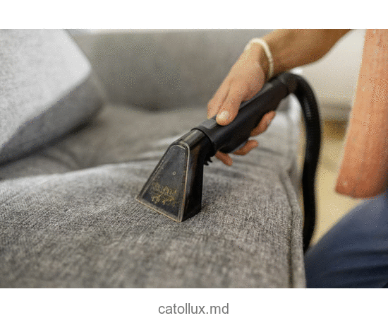 Aspirator cu spalare Karcher SE 2 Spot 