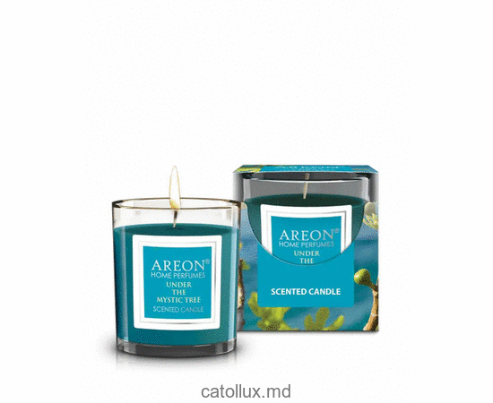 Odorizant свечи Areon 120g (Under the Mystic Tree) 