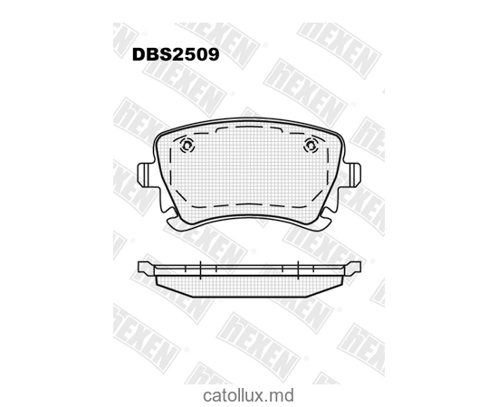DBS2509 (SP 288) (T1469) *  Audi A4, A6, A8, VW Transporter V spate 