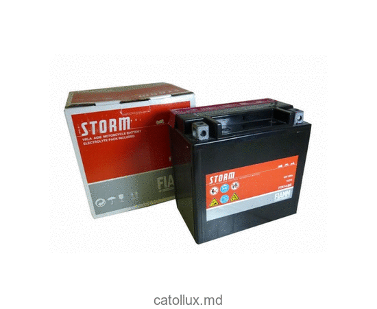 Аккумулятор Fiamm Moto FTX14-BS (7902877) 