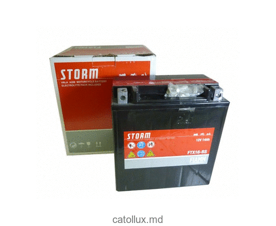 Аккумулятор Fiamm Moto FTX16-BS (7903942) 