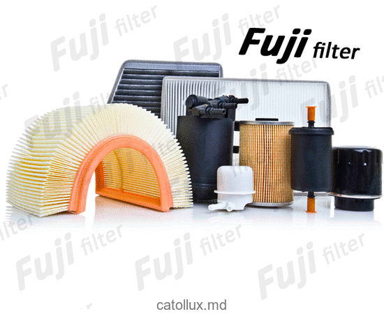 Filtru aer FUJI  FH 20610 (SB 2163) - (AP 130/3) 